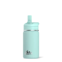 Mini 14oz Stainless Steel Kids Water Bottle With Straw Lid - Aqua