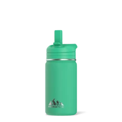Mini 14oz Stainless Steel Kids Water Bottle With Straw Lid- Jade