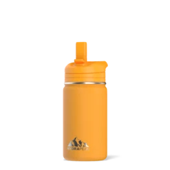 Mini 14oz Stainless Steel Kids Water Bottle With Straw Lid- Mango