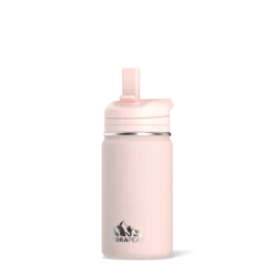 Mini 14oz Stainless Steel Kids Water Bottle With Straw Lid- Seashell