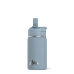 Mini 14oz Stainless Steel Kids Water Bottle With Straw Lid- Storm