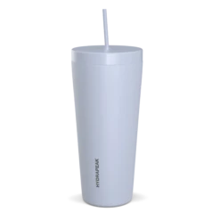 Traveler 25oz Insulated Tumbler With Lid And Straw - Ice