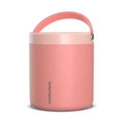 25oz Stainless Steel Vacuum Insulated Thermos Food Jar - Peach