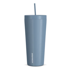 Traveler 25oz Insulated Tumbler With Lid And Straw - Storm