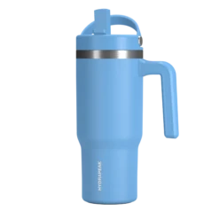 Voyager Kid's 18 Oz Tumbler With Handle And Straw Lid - Maya