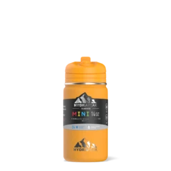 Mini 14oz Stainless Steel Kids Water Bottle With Straw Lid- Mango -Best Cup Shop frontsleevemango