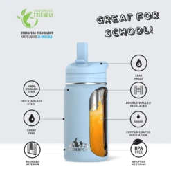 Mini 14oz Stainless Steel Kids Water Bottle With Straw Lid- Cloud -Best Cup Shop infographMINICloudwtext