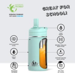 Mini 14oz Stainless Steel Kids Water Bottle With Straw Lid - Aqua -Best Cup Shop infographMINIaquawtext