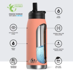 Flow 32oz Stainless Steel Insulated Water Bottle With Straw Lid Bottle- Peach 5 Flow 32oz Stainless Steel Insulated Water Bottle With Straw Lid Bottle- Peach -Best Cup Shop infographflowpeach